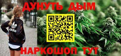 прущие грибы Можайск