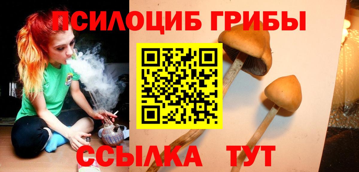 Алапаевск  Псилоцибиновые грибы Psilocybine cubensis  Вход с VPN 